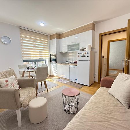 Aleksandar Apartman Sokobanja ภายนอก รูปภาพ