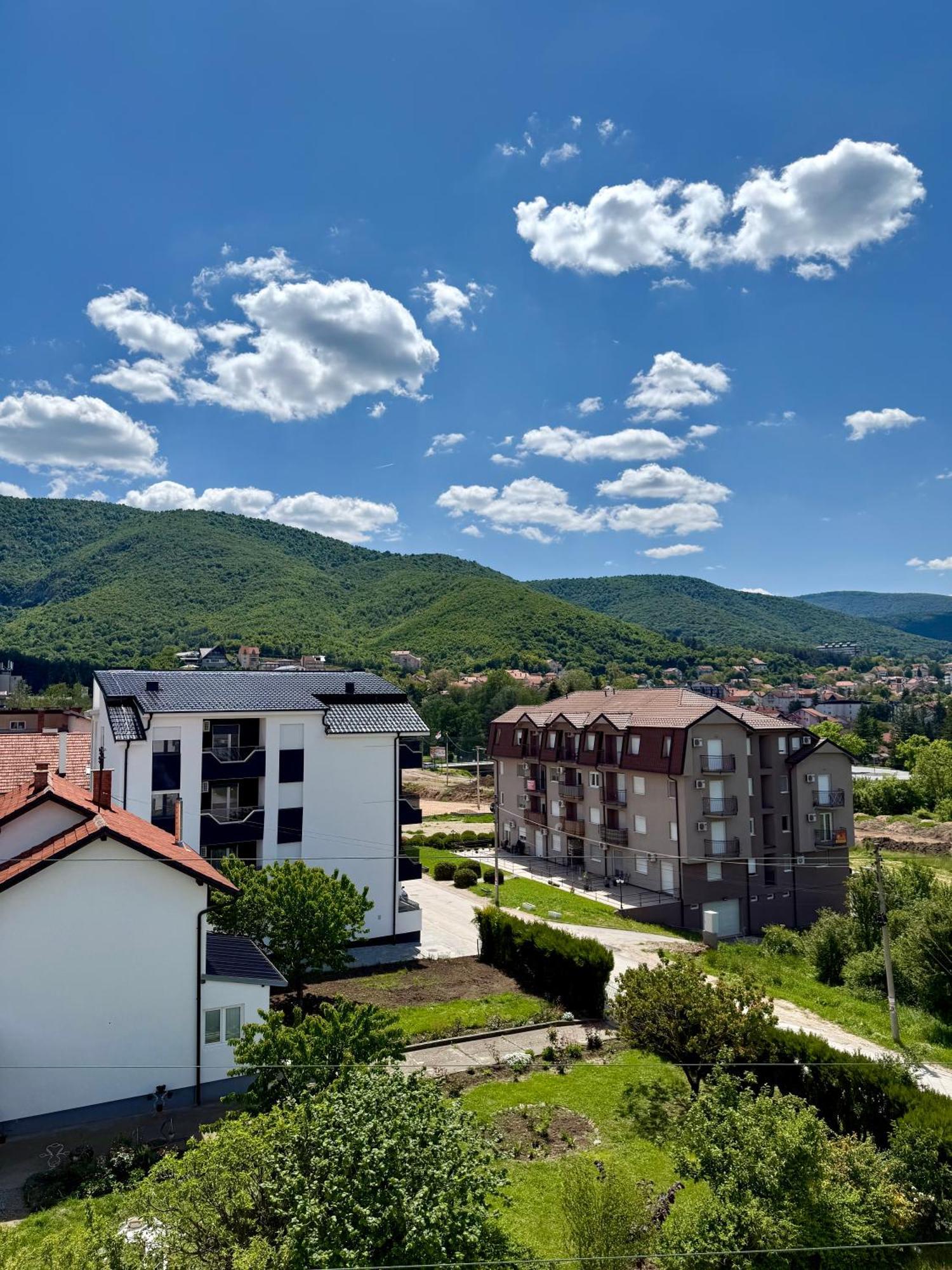 Aleksandar Apartman Sokobanja ภายนอก รูปภาพ